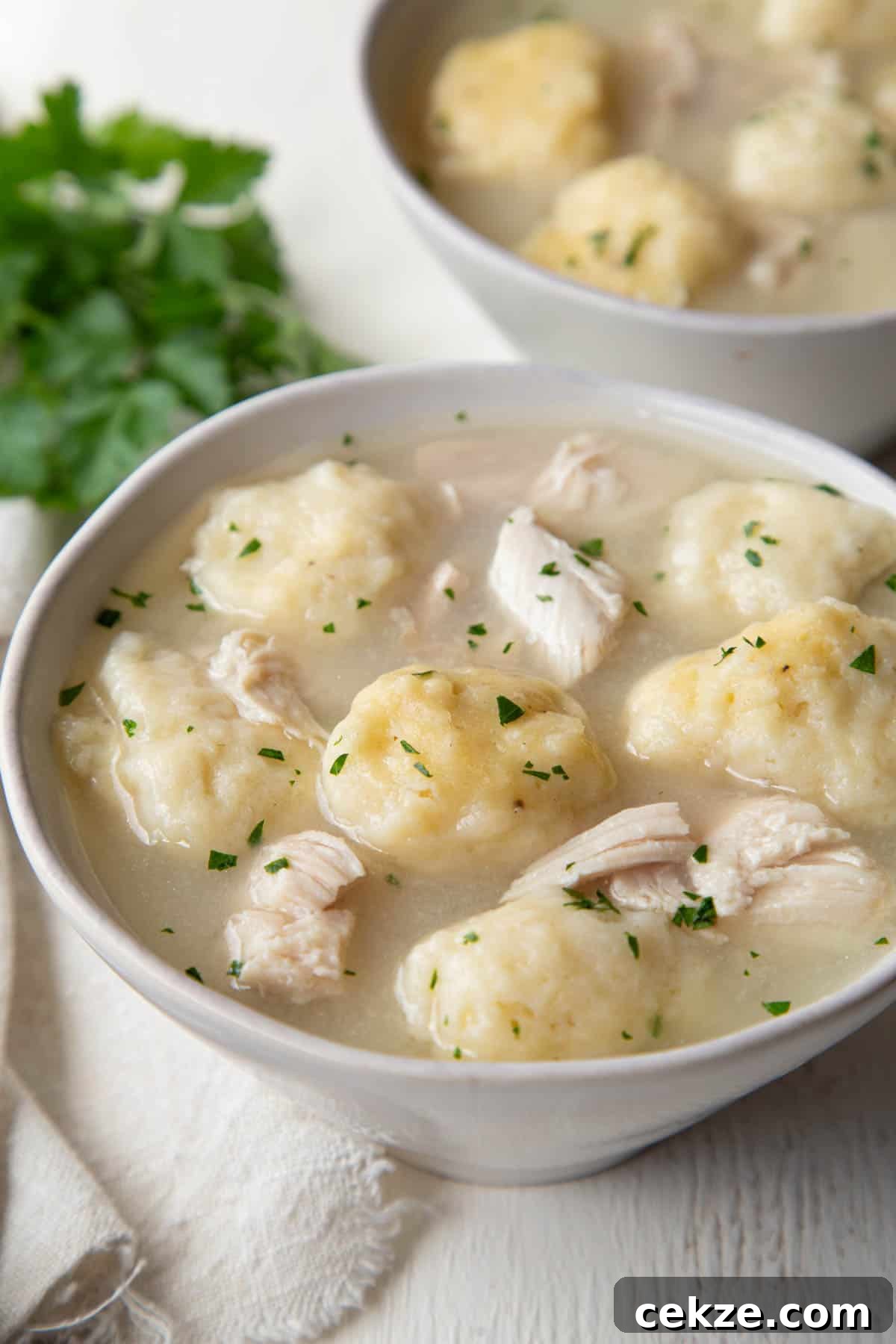 pieces of chicken and fluffy dumplings in a thick broth in a bowl.