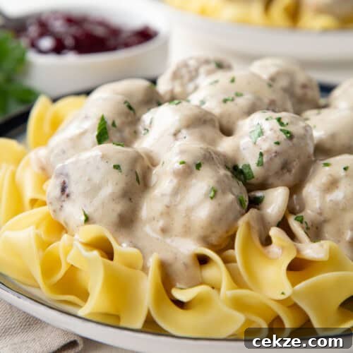 swedish meatballs in a sour cream sauce over egg noodles.