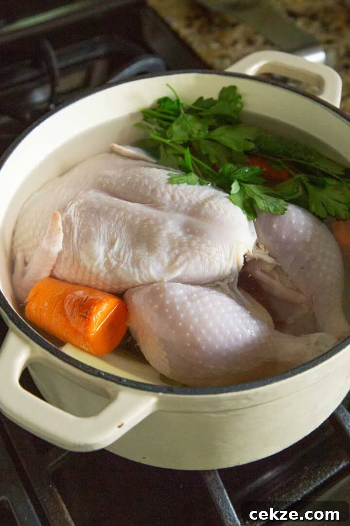 raw chicken, carrots, and parsley in a large pot with water.