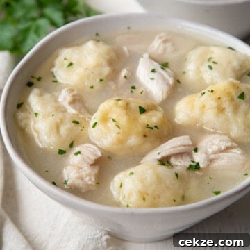 pieces of chicken and fluffy dumplings in a thick broth in a white bowl.