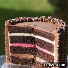 Devil’s Food Cake: Gluten-Free or Classic Recipe Explained 3 {Devil's food cake filled with Neapolitan buttercream - Italian meringue buttercream flavoured with vanilla, chocolate and freeze-dried strawberry powder}