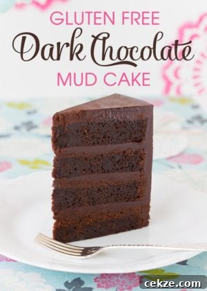 Devil’s Food Cake: Gluten-Free or Classic Recipe Explained 5 A slice of dark chocolate mud cake on a white plate.