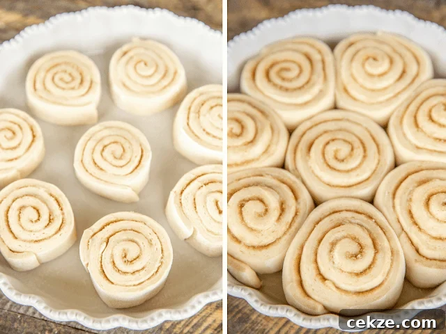 cinnamon rolls rising