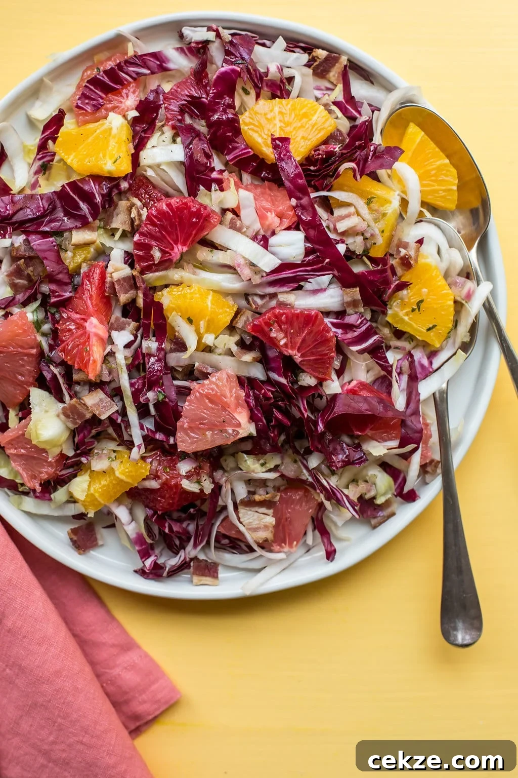 Endive, Radicchio and Citrus Salad with Bacon Vinaigrette on white plate.