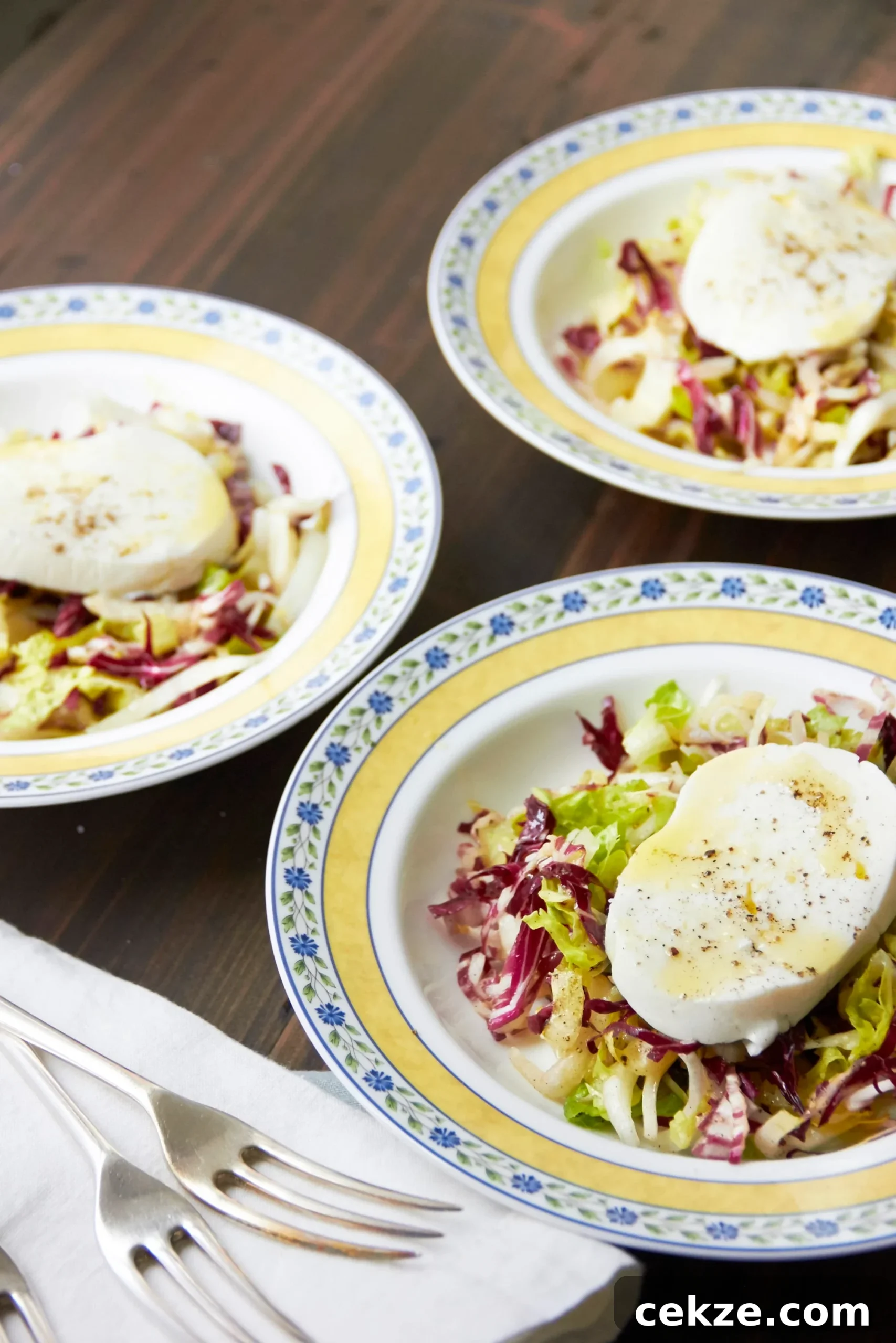 Endive and Radicchio Salad with Fresh Mozzarella on colorful plates.