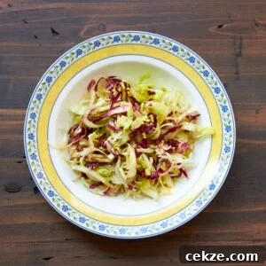 Radicchio salad in colorful bowl.