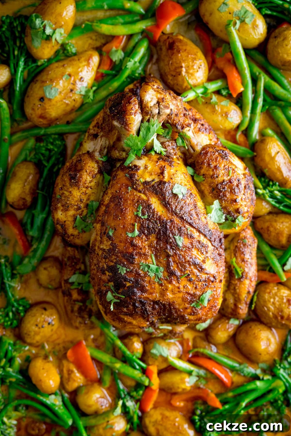 Curry-Roasted Chicken with Crispy Skin and Aromatic Spices 2 Overhead of a whole roast chicken in a baking tray with vegetables and curry sauce