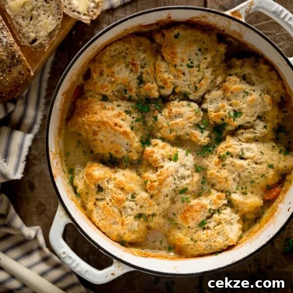 Curry-Roasted Chicken with Crispy Skin and Aromatic Spices 13 Square image of chicken stew and dumplings in a white casserole pan.