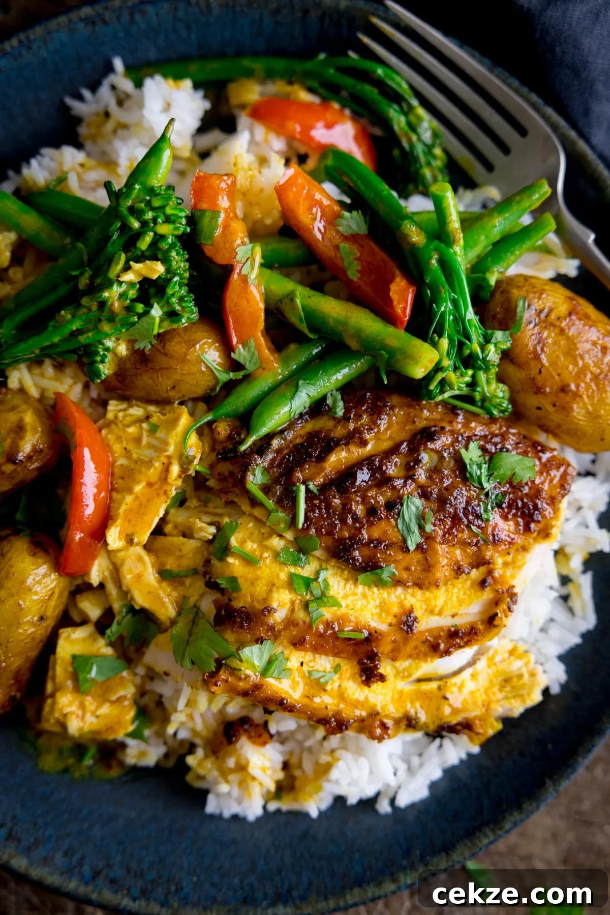 Curry-Roasted Chicken with Crispy Skin and Aromatic Spices 6 Slices of curry roast chicken on top of boiled rice with vegetables, all on a dark plate