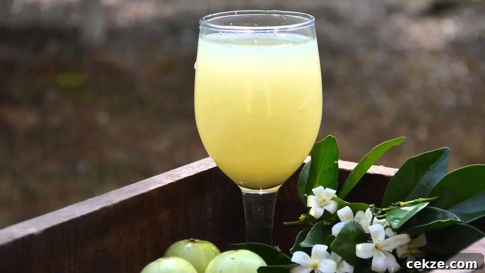 Fruit Juice: amla-juice
