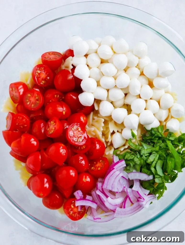 Caprese Pasta Salad with Cherry Tomatoes, Mozzarella & Basil 2 Caprese Pasta Salad