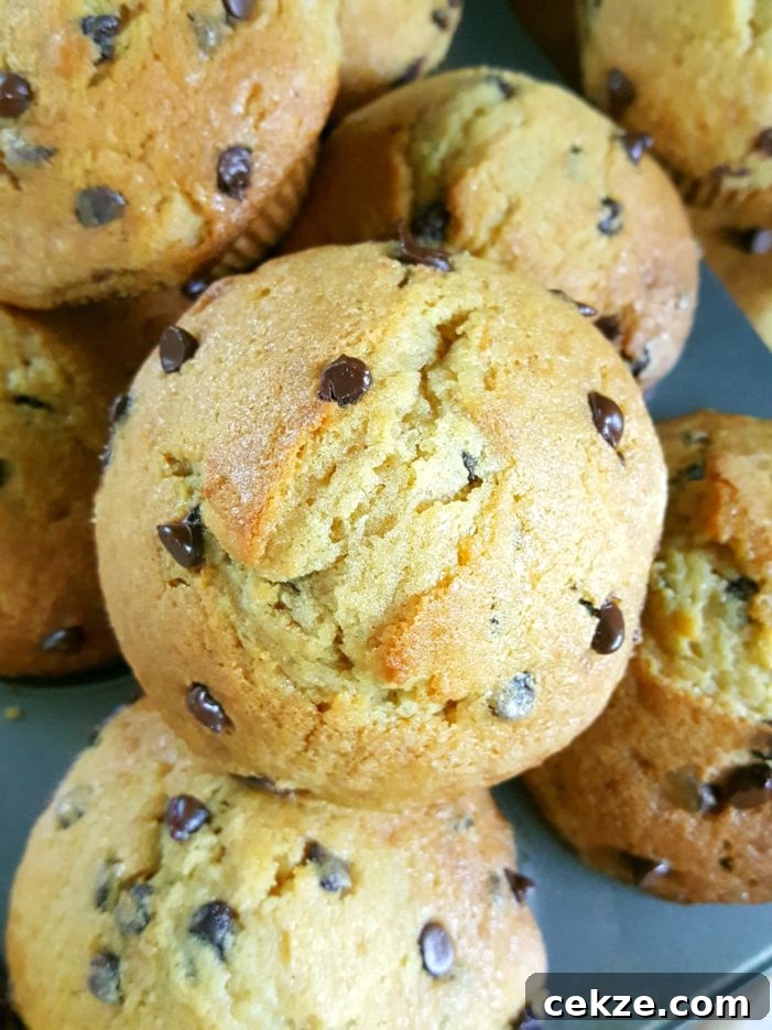 The Best Bakery Style Sour Cream Chocolate Chip Muffins from scratch - Moist homemade jumbo muffins with big tops made with sour cream (or greek yogurt), brown sugar, & no buttermilk. Simple & easy recipe, perfect for breakfast. | Beat Bake Eat