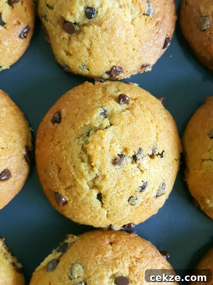 The Best Bakery Style Sour Cream Chocolate Chip Muffins from scratch - Moist homemade jumbo muffins with big tops made with sour cream (or greek yogurt), brown sugar, & no buttermilk. Simple & easy recipe, perfect for breakfast. | Beat Bake Eat