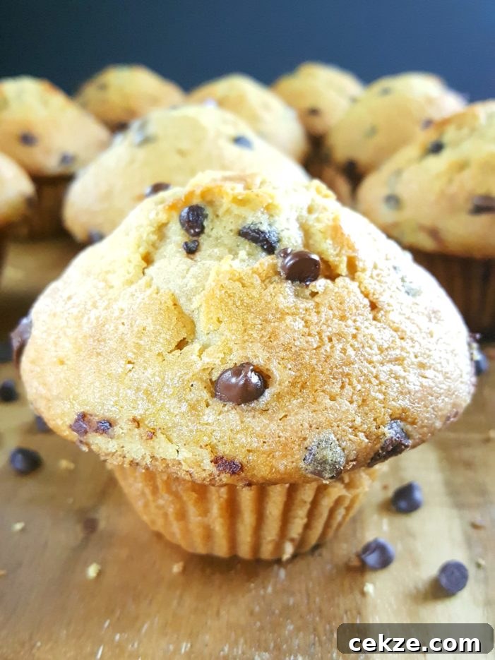 The Best Bakery Style Sour Cream Chocolate Chip Muffins from scratch - Moist homemade jumbo muffins with big tops made with sour cream (or greek yogurt), brown sugar, & no buttermilk. Simple & easy recipe, perfect for breakfast. | Beat Bake Eat