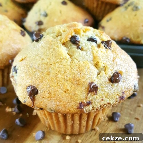 The Best Bakery Style Sour Cream Chocolate Chip Muffins from scratch - Moist homemade jumbo muffins with big tops made with sour cream (or greek yogurt), brown sugar, & no buttermilk. Simple & easy recipe, perfect for breakfast. | Beat Bake Eat