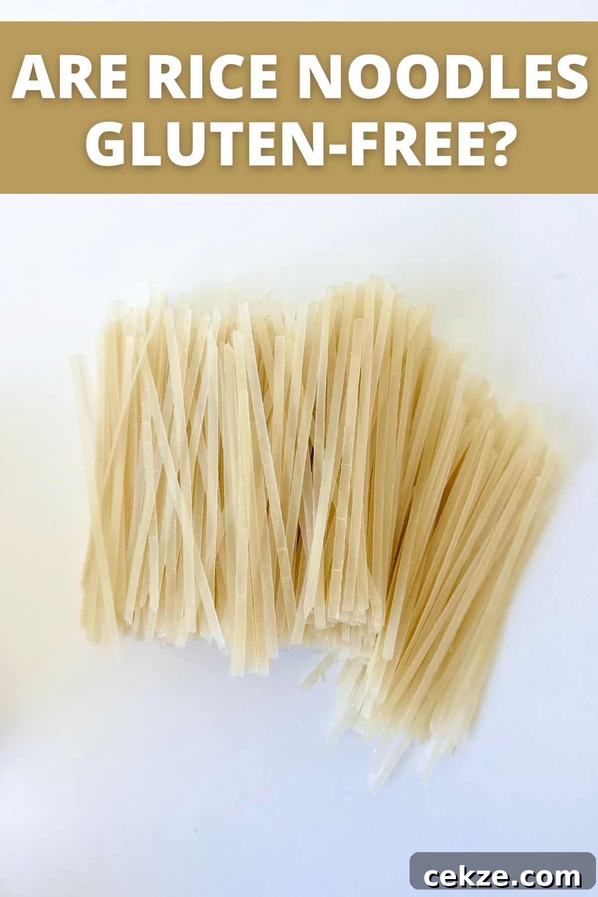 rice noodles on white background