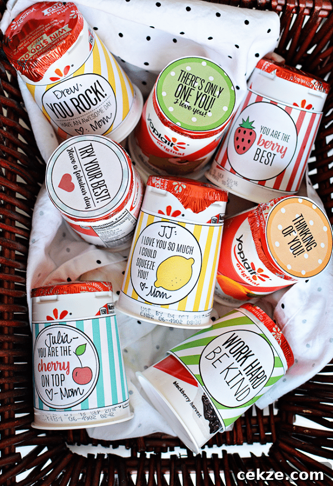Your kids will feel the love with these cute back to school lunchbox notes! Free printables included from thirtyhandmadedays.com