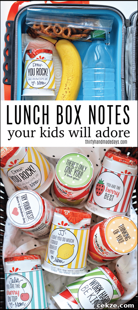 Your kids will feel the love with these cute back to school lunchbox notes! Free printables included from www.thirtyhandmadedays.com
