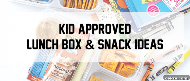 Kid approved lunch box and snack ideas