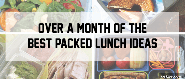 Over a month of the best packed lunch ideas www.thirtyhandmadedays.com
