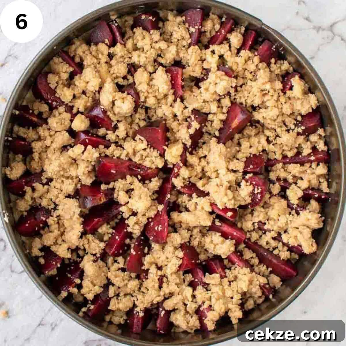 Classic German Plum Cake Recipe (Zwetschgenkuchen) 9 Overhead view of streusel on slices of plum in a cake pan.