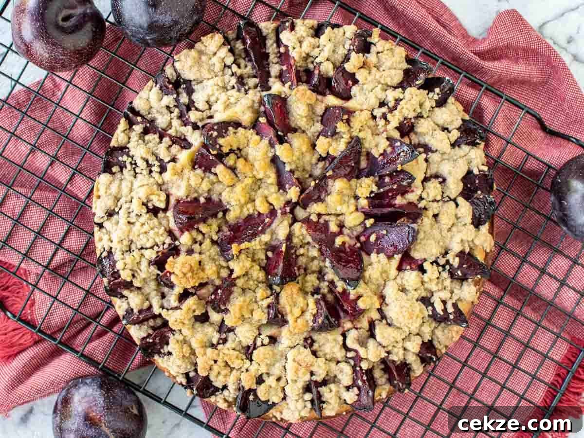 Classic German Plum Cake Recipe (Zwetschgenkuchen) 10 Cake topped with slices plums and streusel on black wire rack viewed from above.