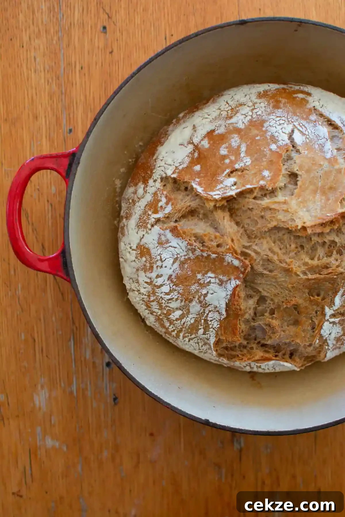 A red pot with a loaf of bread in the pot and the bread is dusted with flour sitting on a wood table. 