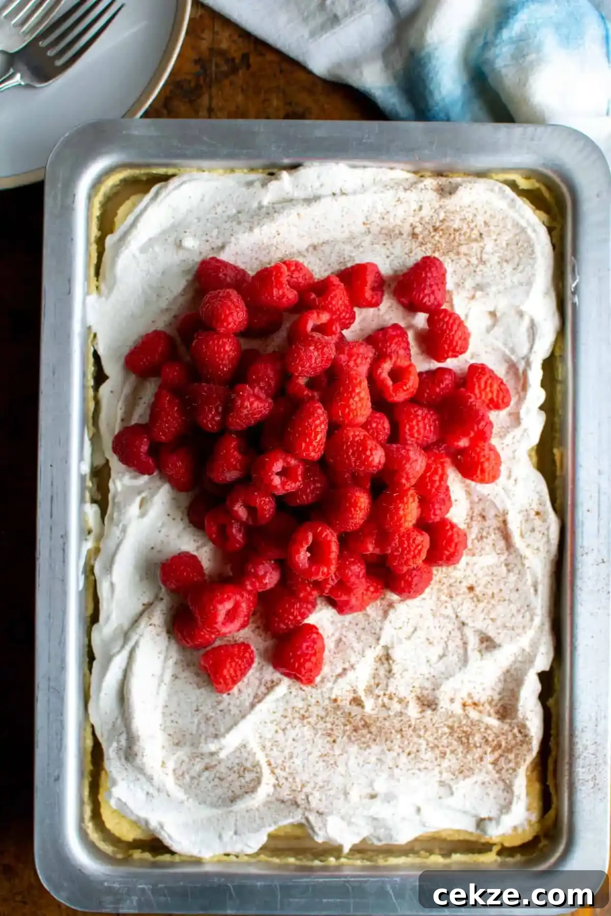 A metal pan with tres leches cake in it topped with whipped cream, dusted with cinnamon and topped with a heap of raspberries. 