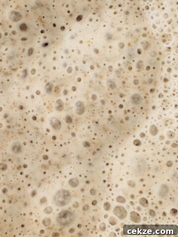 close up on dough bubbles