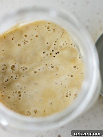 Sourdough culture with the start of a hooch developing.