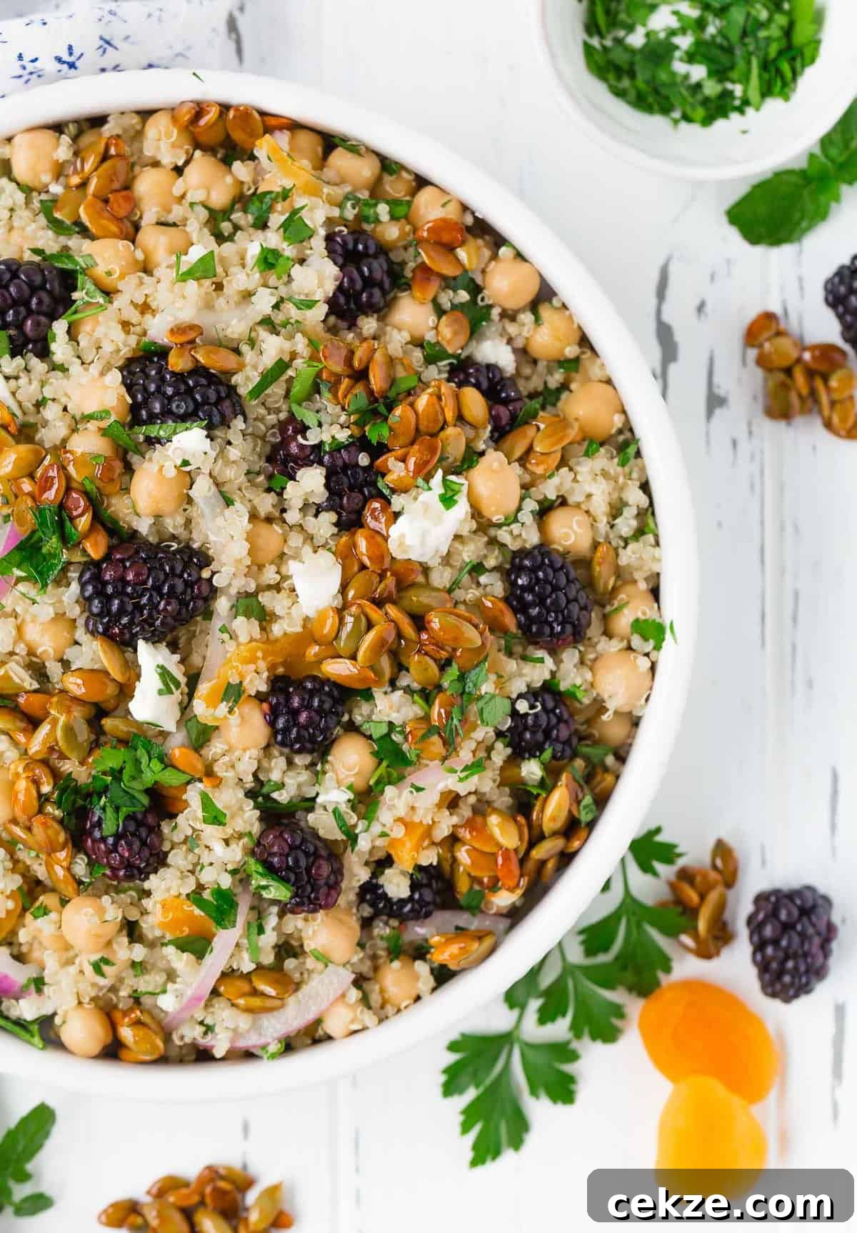 Quinoa and Chickpea Salad with Blackberries and Candied Pepitas 2 Close up of a quinoa and chickpea salad with pepitas, blackberries, apricots, and feta.