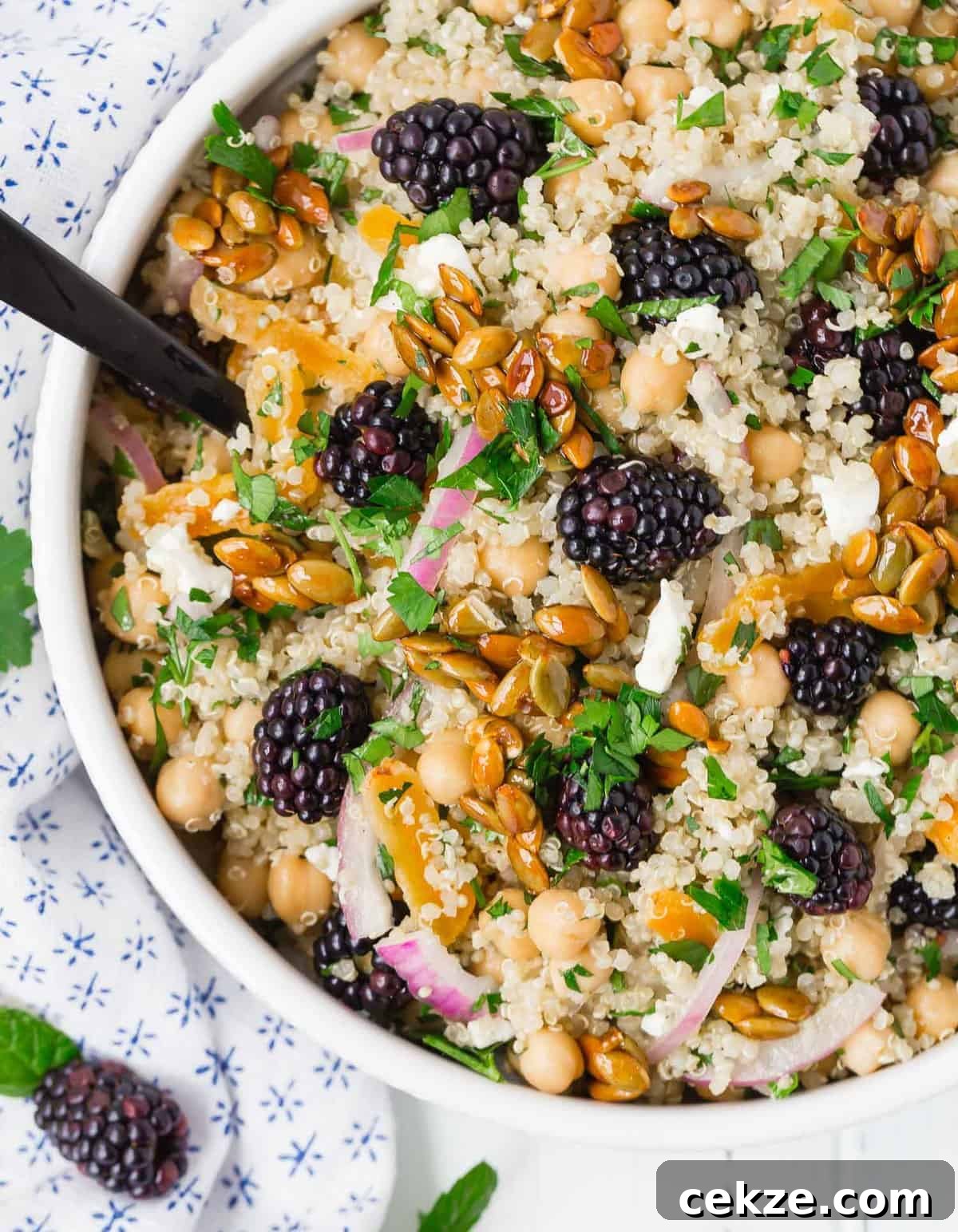 Quinoa and Chickpea Salad with Blackberries and Candied Pepitas 4 Close up of a salad in a white bowl comprised of quinoa, chickpeas, feta cheese, red onion, blackberries and more.