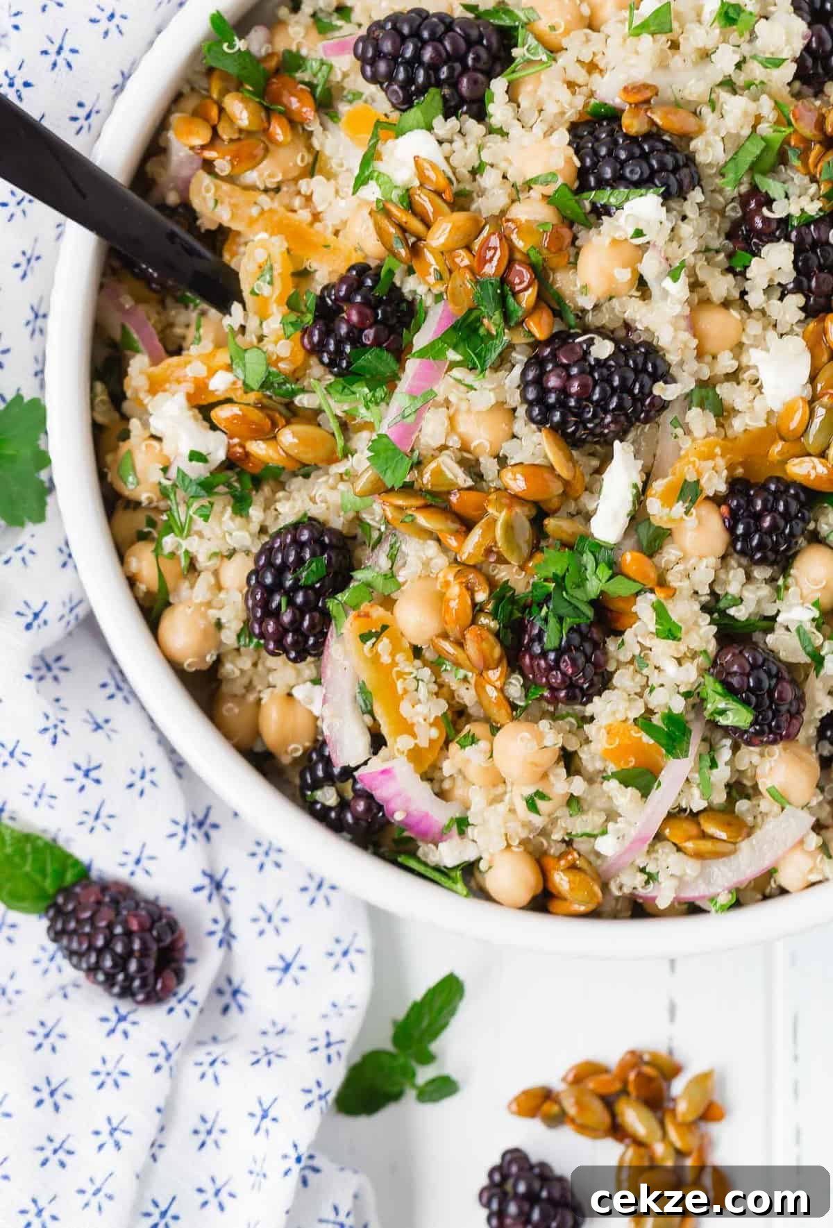 Quinoa and Chickpea Salad with Blackberries and Candied Pepitas 5 Overhead view of a colorful quinoa salad.