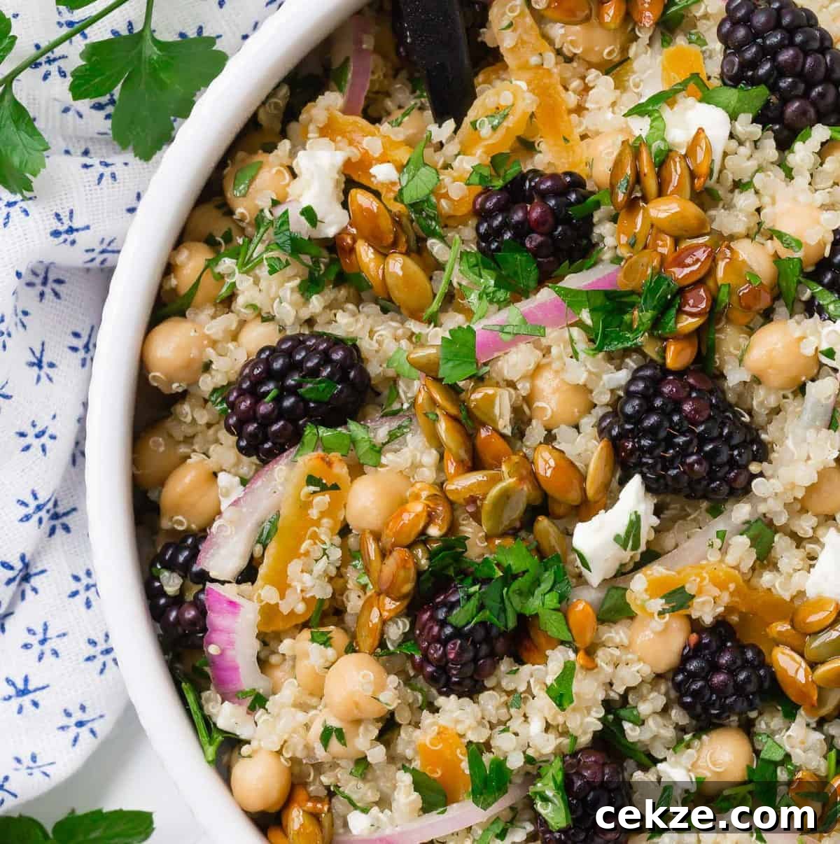 Quinoa and Chickpea Salad with Blackberries and Candied Pepitas 6 Quinoa and chickpea salad, very close up view to show texture.