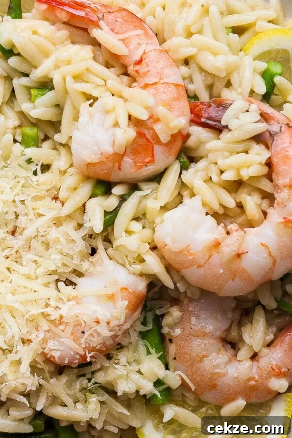 A plate of shrimp scampi orzo with asparagus, fresh lemon and shredded parmesan.