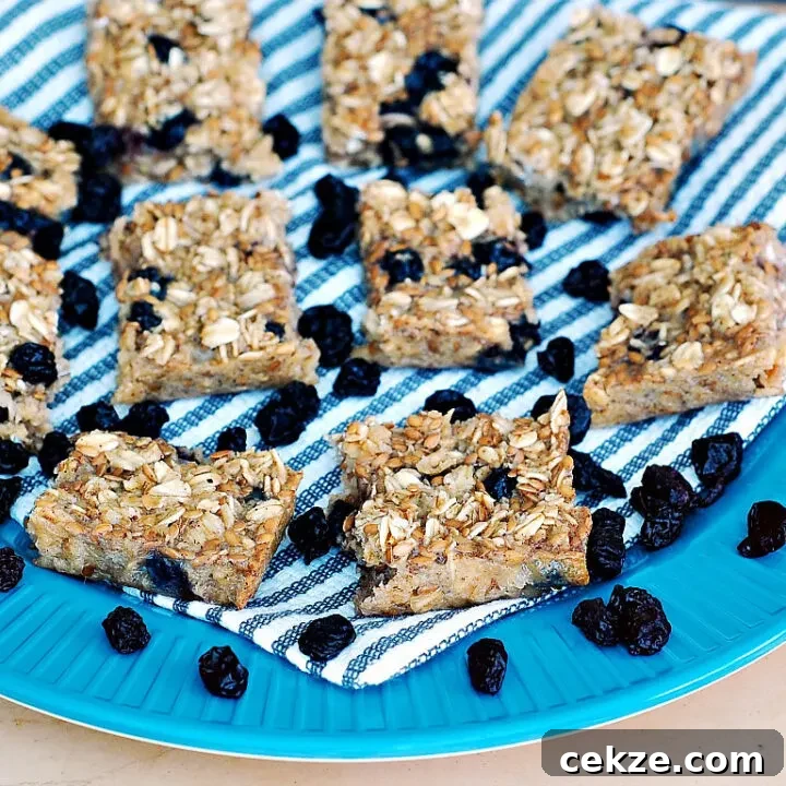 Baked Blueberry Oatmeal Bars