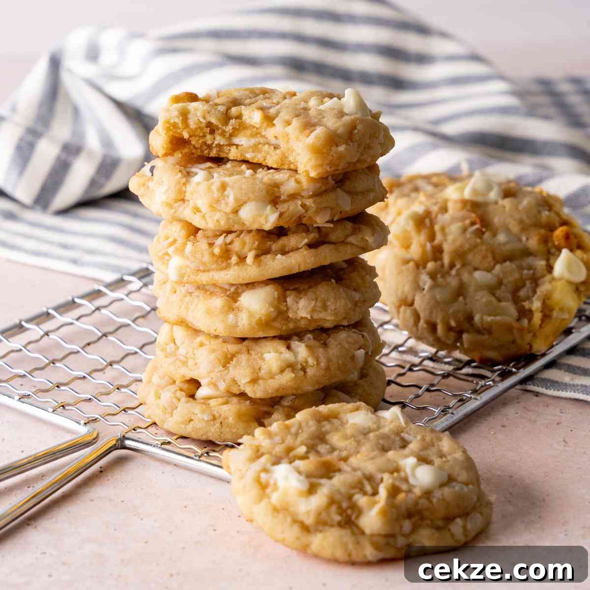 Coconut Cookies featured image.