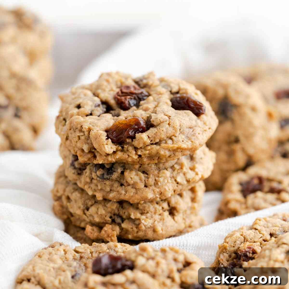 Oatmeal Raisin Cookies featured image.