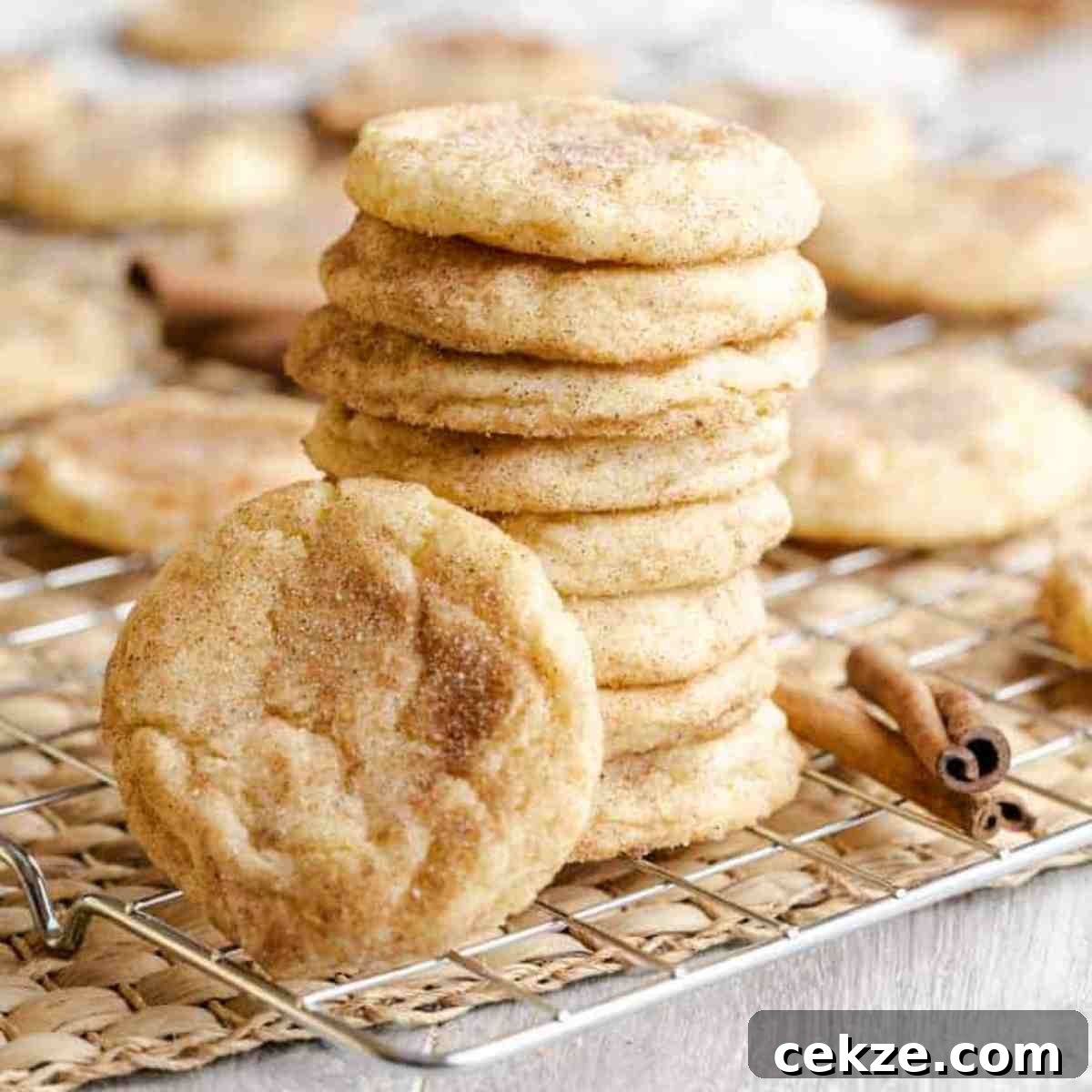 Snickerdoodle Cookies featured image.