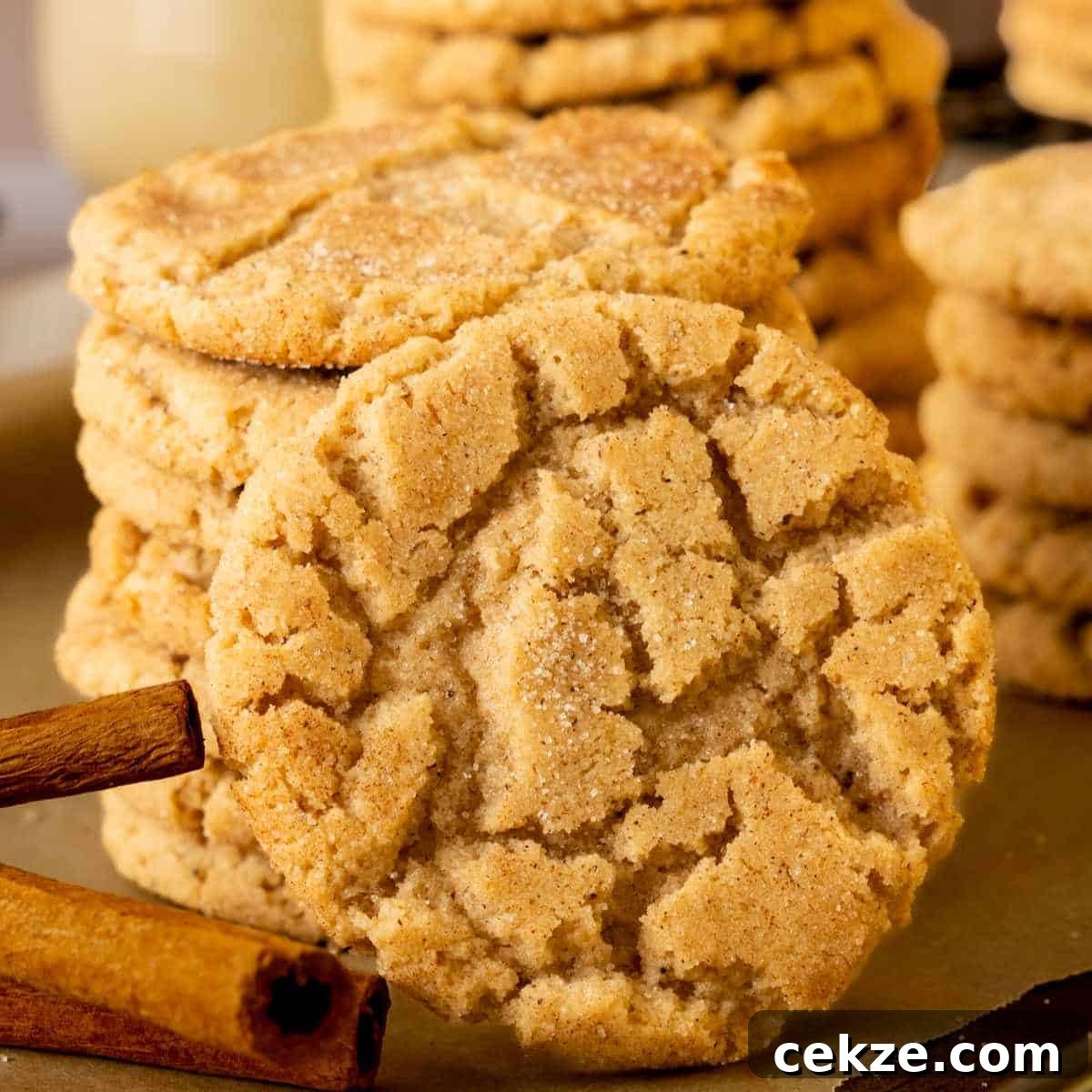 Cinnamon Crinkle Cookies in a stack with a cookie propped in the front of the stack.