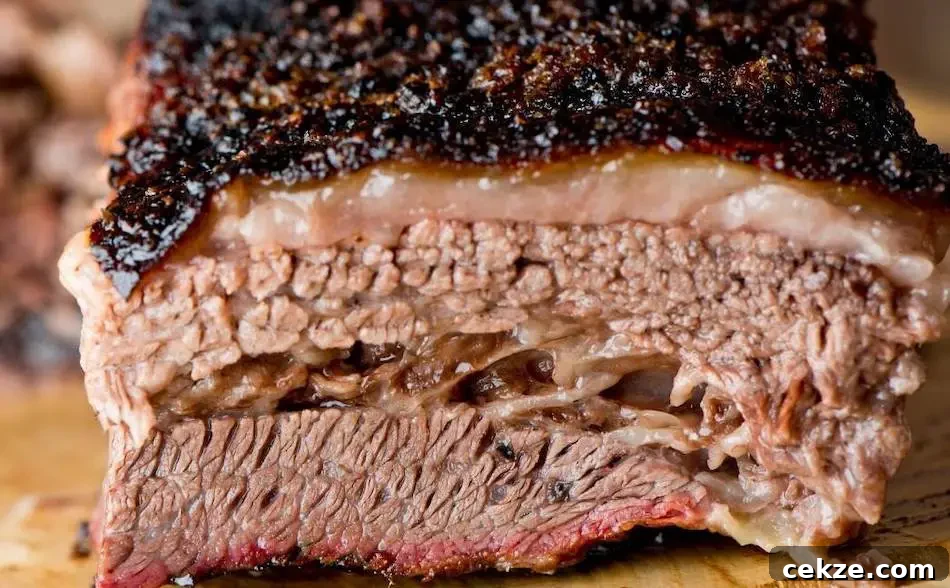 Brisket Guide: How to Tell the Point from the Flat Cut 2 img 4213 1