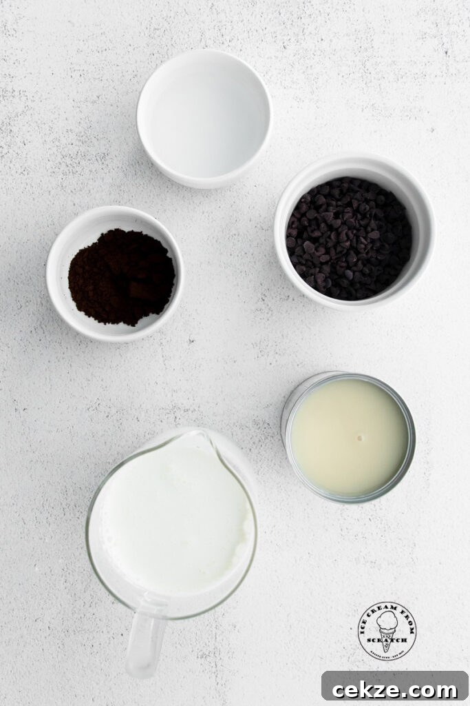 top down view of ingredients in coffee flavored ice cream