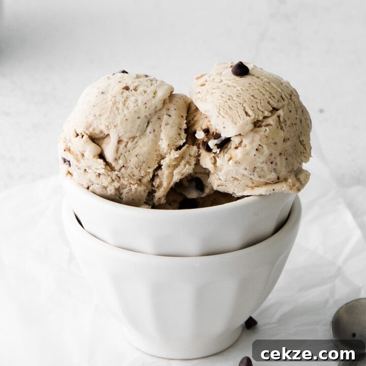 two scoops of coffee flavored ice cream in a bowl