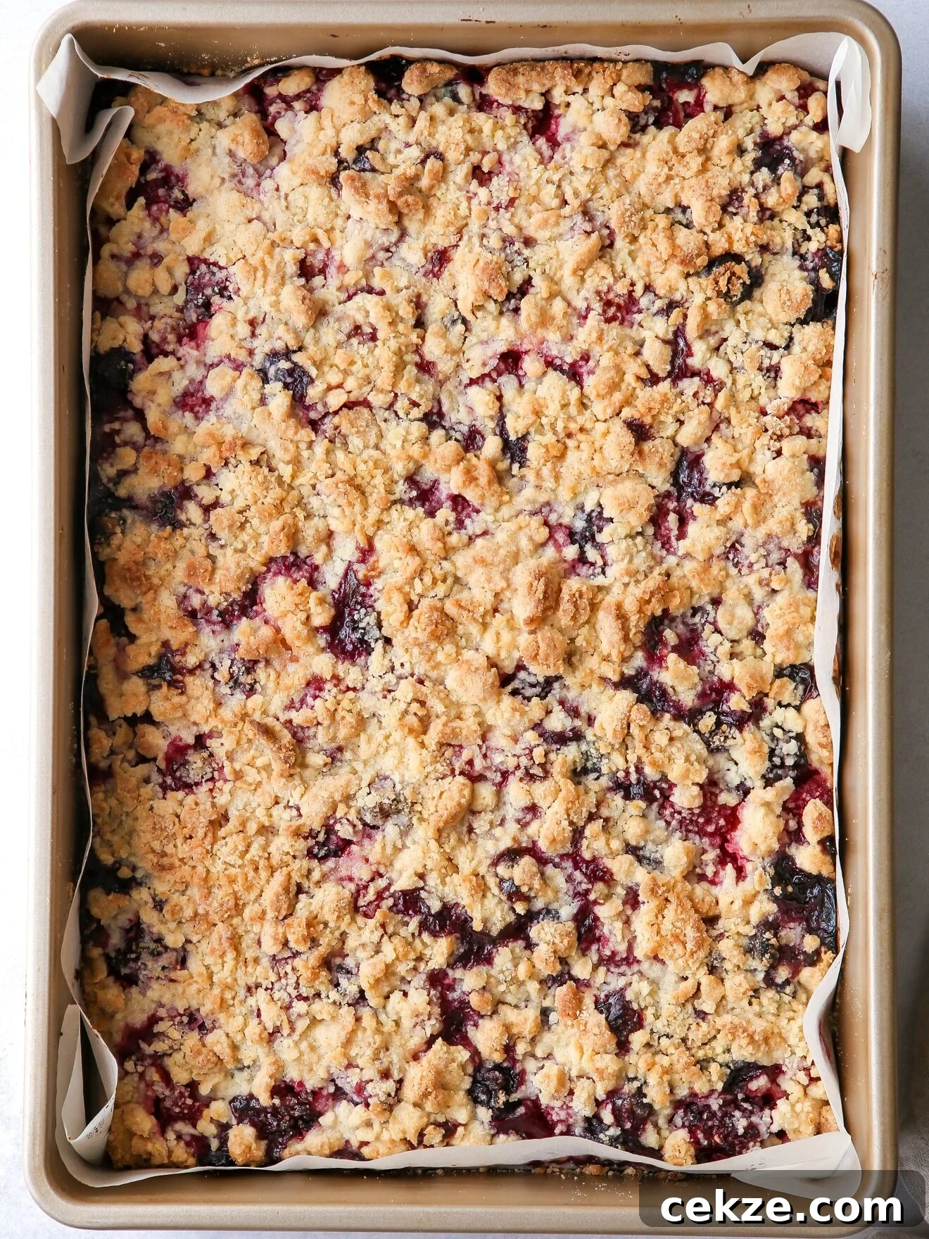 berry crumb bars baked in a pan