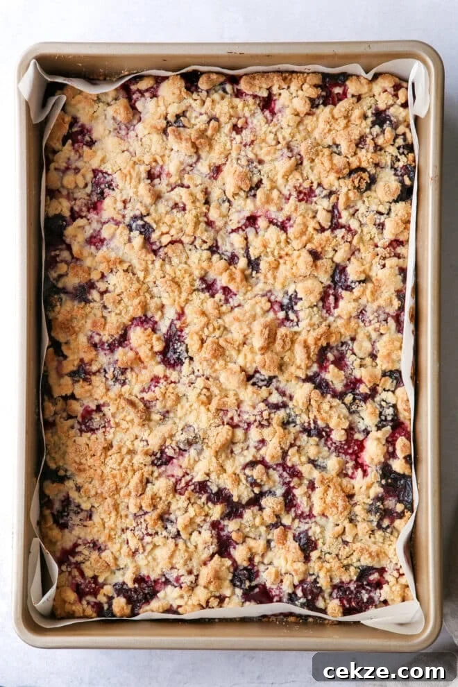 berry crumb bars baked in a pan