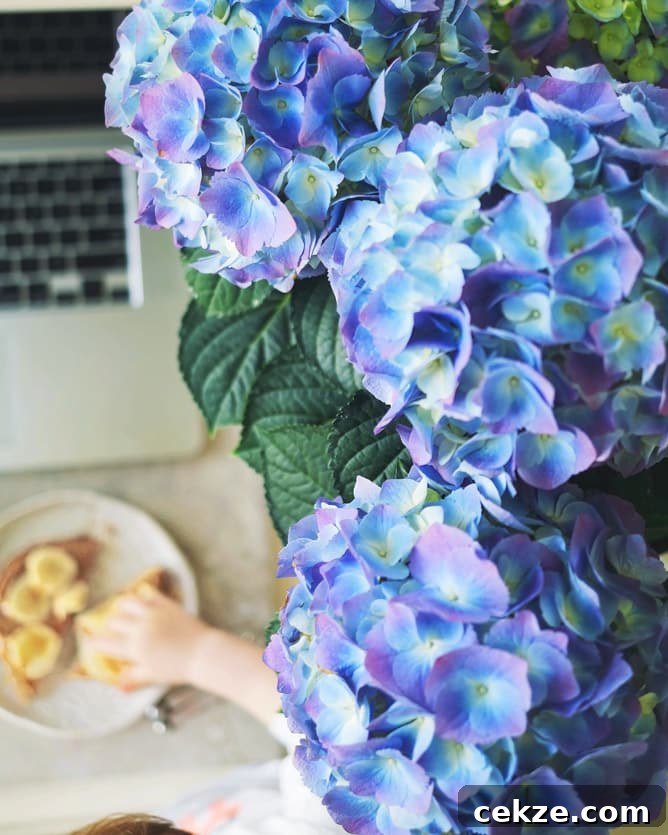 currently crushing on I howsweeteats.com