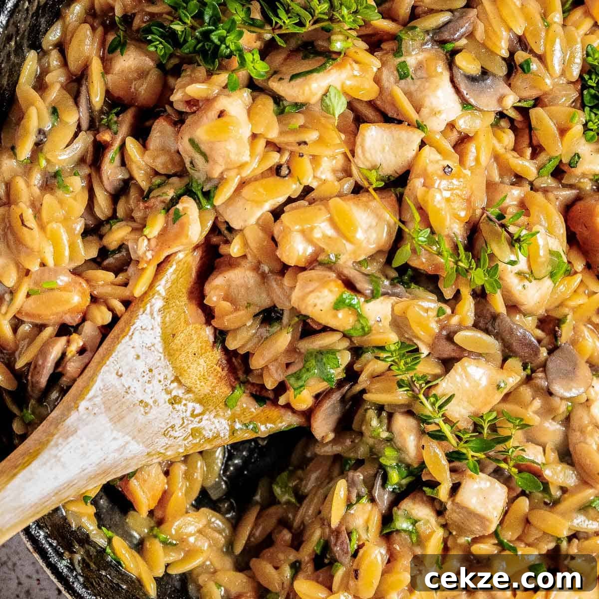Close up shot of orzo pasta garnished with fresh herbs in a skillet with a wooden spoon.