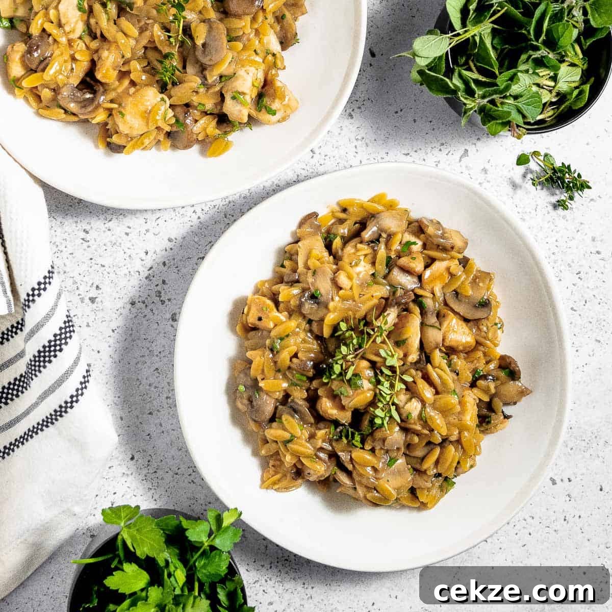 Overhead shot of orzo pasta garnished with fresh herbs on a white plate on a white marble surface with baskets of fresh herbs on the side.