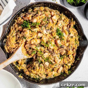 Close up overhead shot of orzo pasta garnished with fresh herbs in a large skillet with a Woden spoon and white cloth on the side.