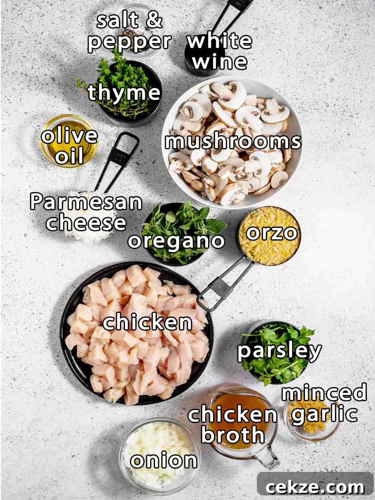 Overhead shot of ingredients - chicken, mushrooms, orzo, oregano, parsley, chicken broth, onion, minced garlic, parmesan cheese, olive oil, thyme, salt & pepper, and white wine.